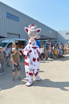 Onbeperkt op Weg 31 augustus 2024