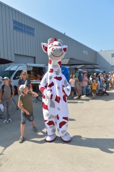 Onbeperkt op Weg 31 augustus 2024