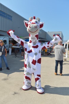Onbeperkt op Weg 31 augustus 2024