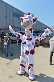 Onbeperkt op Weg 31 augustus 2024