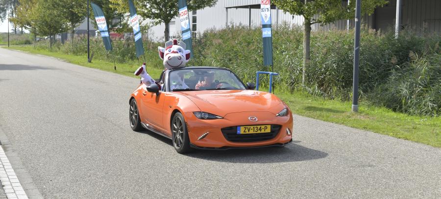 Wat een heerlijke middag!